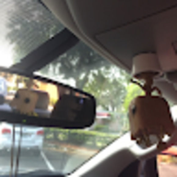 Meet your Posher, Sami - Picture 1 of 1